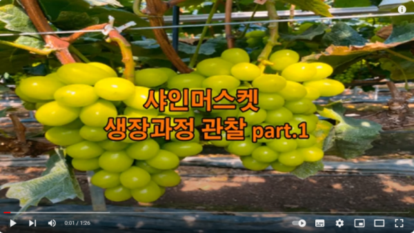 bd643541bc570d828643cd8c1e4fd6c8_1772358053_7486.png